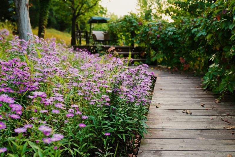 Maple Grove Garden Co.
