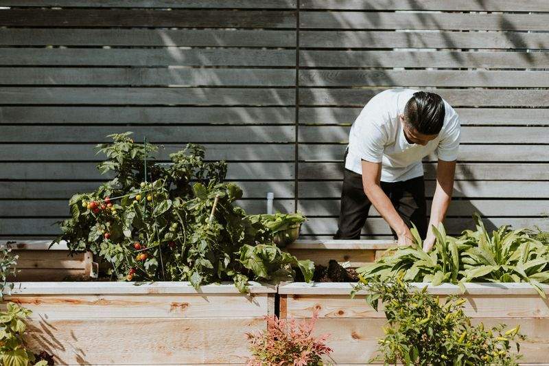 Seasonal Garden Refresh Workflow