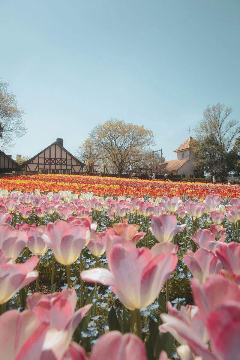 Maple Grove Garden Co. 15