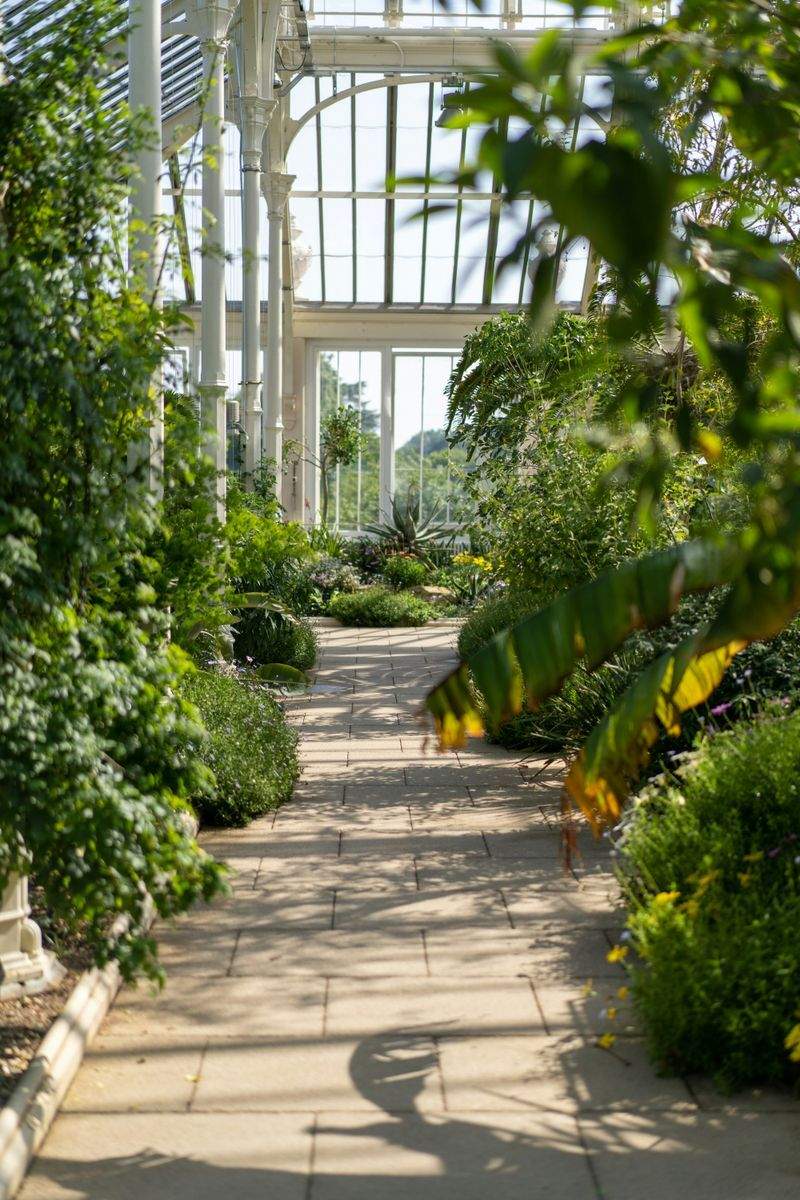 Maple Grove Garden Co. 7
